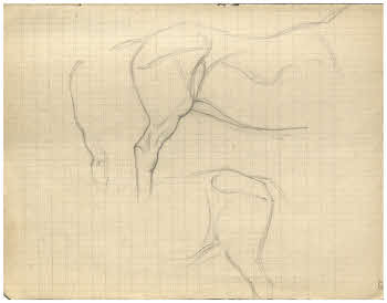 Visualizza l'immagine "FD Album 7, 12 r."